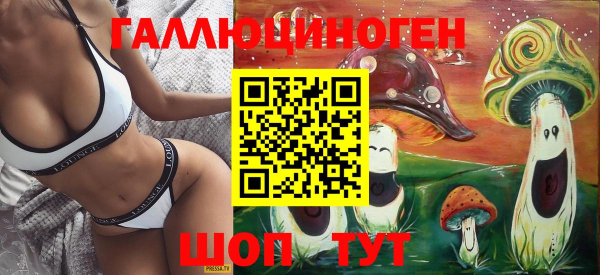 Свободный  Псилоцибиновые грибы Psilocybine cubensis  Вход с VPN  Псилоцибиновые грибы GOLDEN TEACHER 